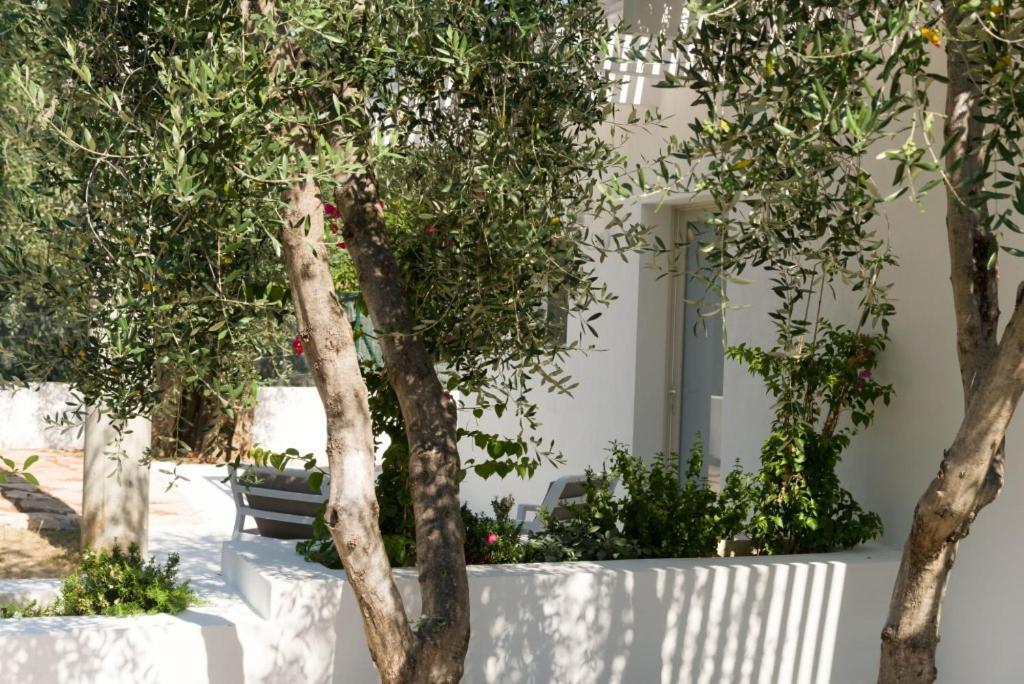 Il Pagliaio B&B Mattinata Esterno foto